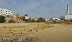 kota-badr-arab kota badr arab