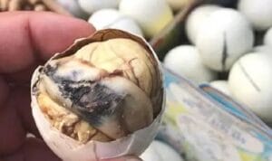 telur-bebek-pilipina Balut (Filipina) – Telur Bebek dengan Embrio Setengah Jadi.