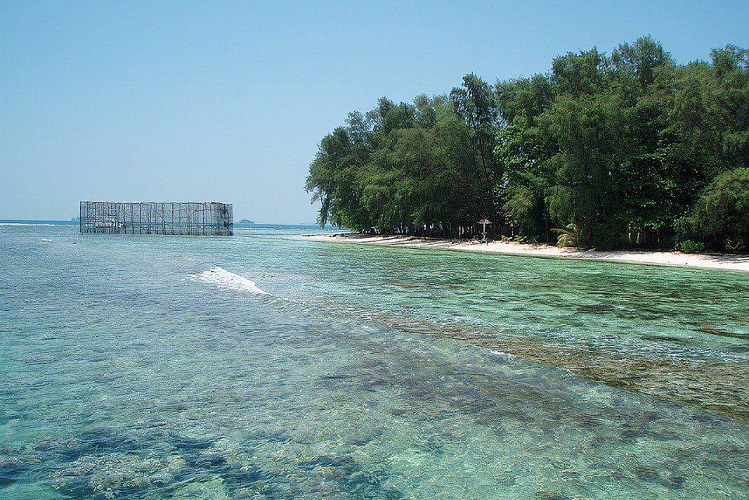Pulau Kotok, Jejak Elang di Tengah Laut 1 dok. istimewa