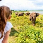 sri-langka1 Ilustrasi wisata di Sri Lanka. Foto: Shutterstock