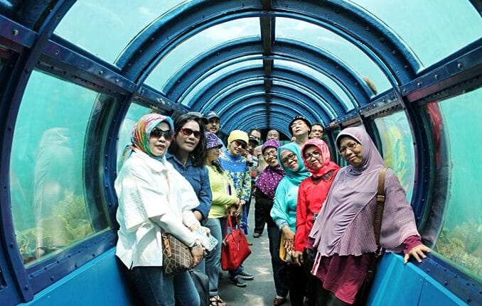 Pulau Putri: Destinasi Rahasia dengan Akuarium Bawah Laut yang Memukau! 1 Foto: Istimewa