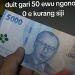 ilustrasi-medo Foto: Istimewa