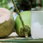 kelapa-ist Ilustrasi 📷 Istimewa